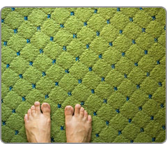 Antron Carpet Fiber | Concord CA | Bay Area CA