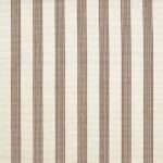 Amelia Island Bronze