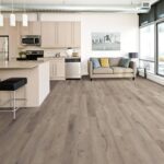 Arcaidan-W-AC-OL-Olympus